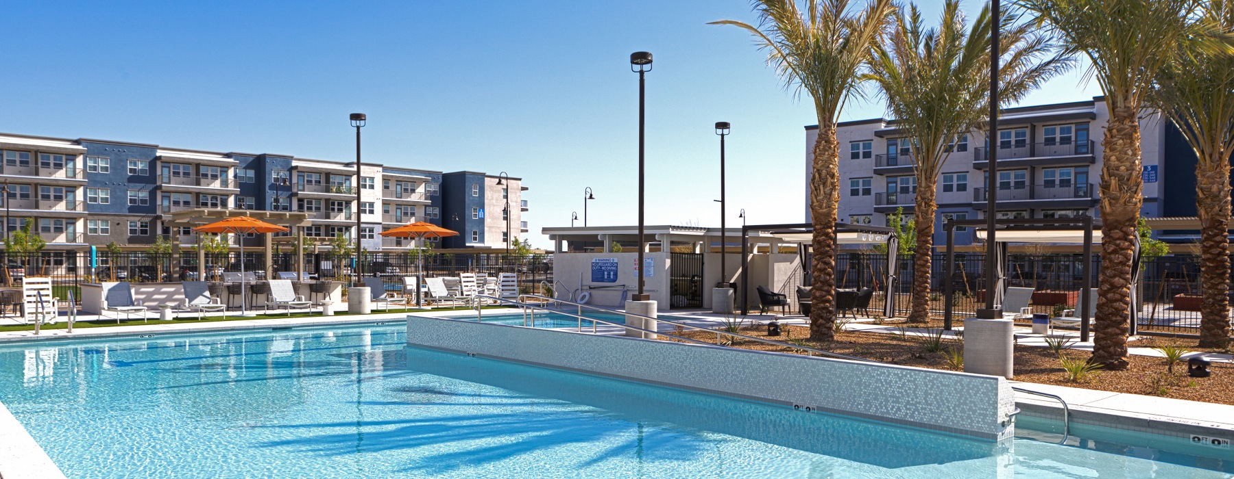Swimming pool surrounded by furniture and palm trees